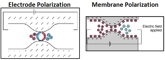 ../../../_images/fig_polarization_example.png